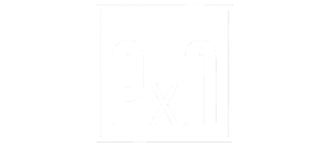 logo pixel nexus