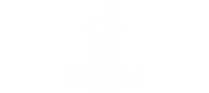 logo bastion films