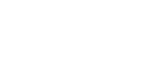 logo lavinia