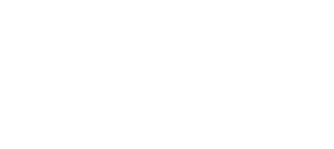 logo toboggan group
